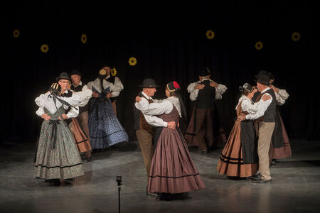 Maroltovo srečanje znova združilo koroške folklorne skupine (9)